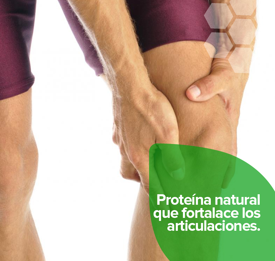 COLÁGENO HIDROLIZADO PREMIUM 450 GR